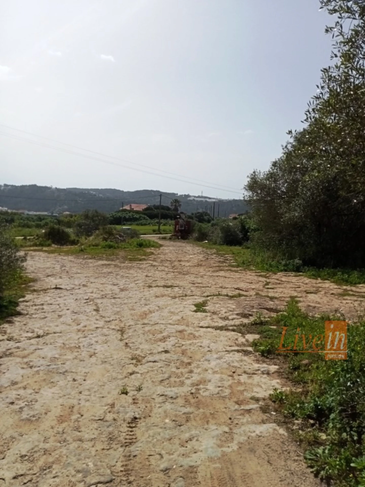Terreno Agricola ou Rústico para Venda em Santo Isidoro Foto 6