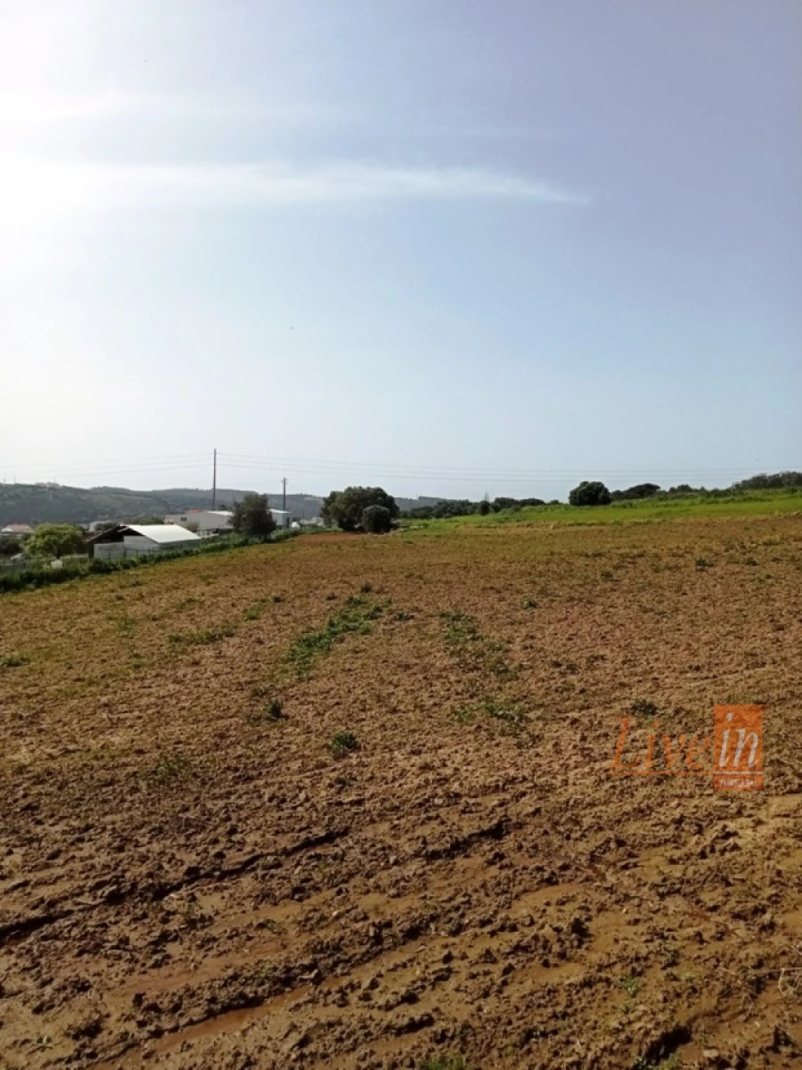 Terreno Agricola ou Rústico para Venda em Santo Isidoro Foto 2