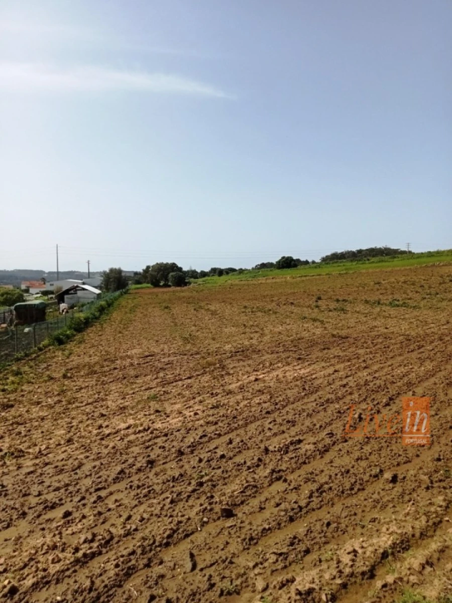 Terreno Agricola ou Rústico para Venda em Santo Isidoro Foto 4
