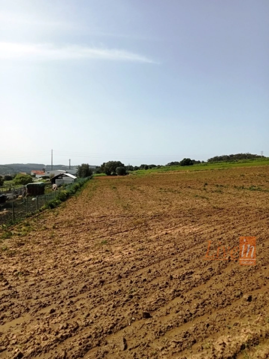 Terreno Agricola ou Rústico para Venda em Santo Isidoro Foto 5