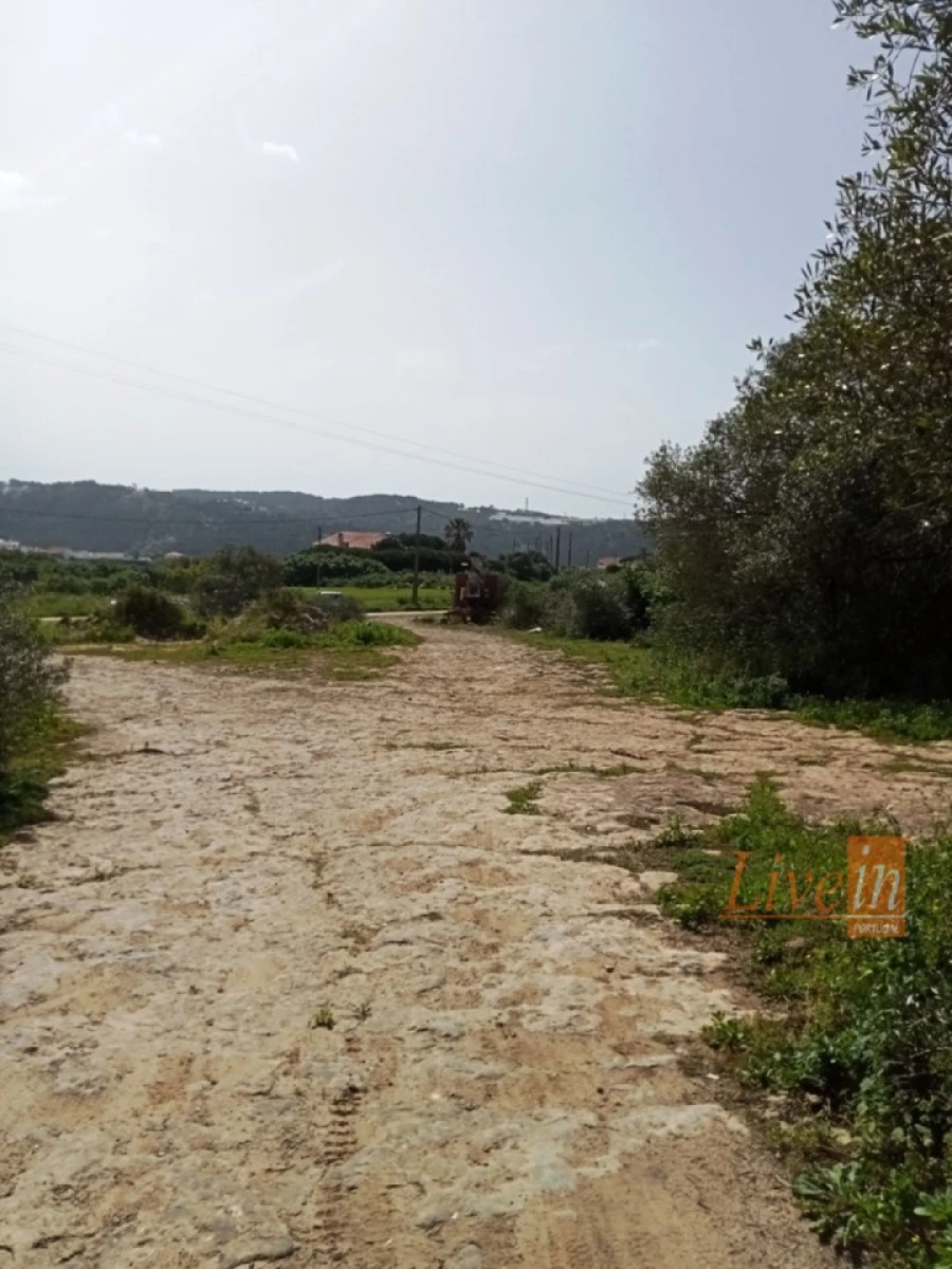 Terreno Agricola ou Rústico para Venda em Santo Isidoro Foto 6