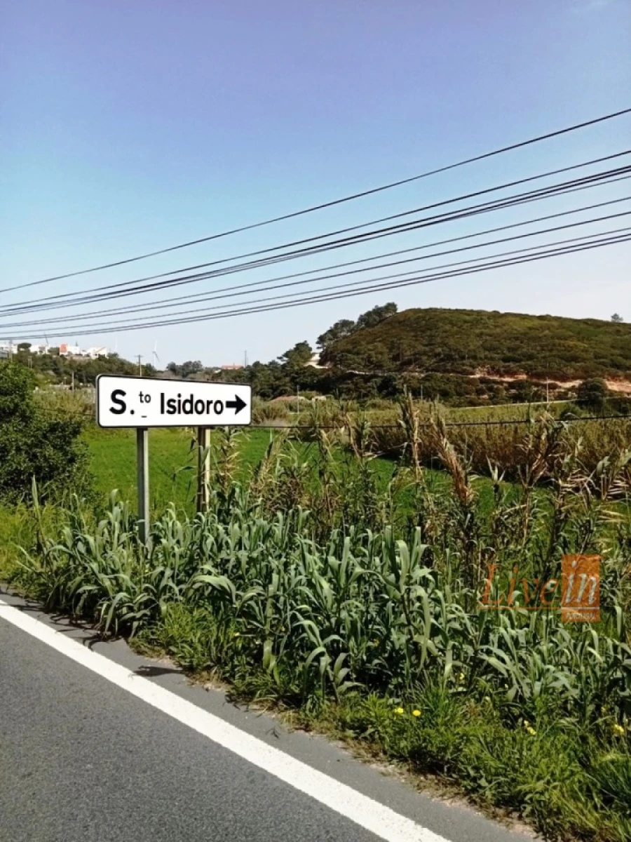 Terreno Agricola ou Rústico para Venda em Santo Isidoro