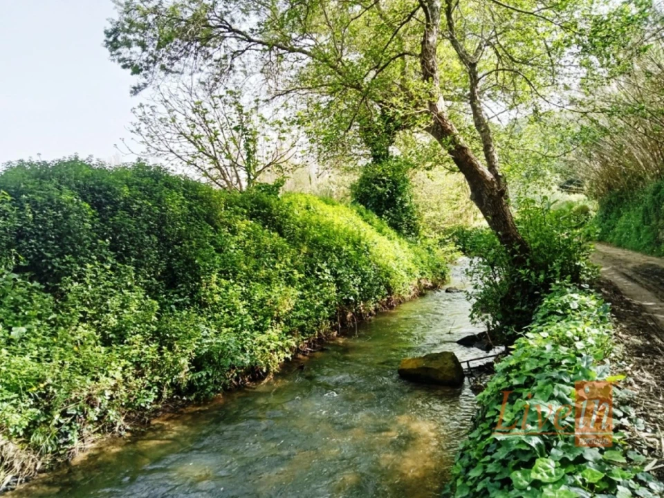Terreno Agricola ou Rústico para Venda em Ericeira Foto 1