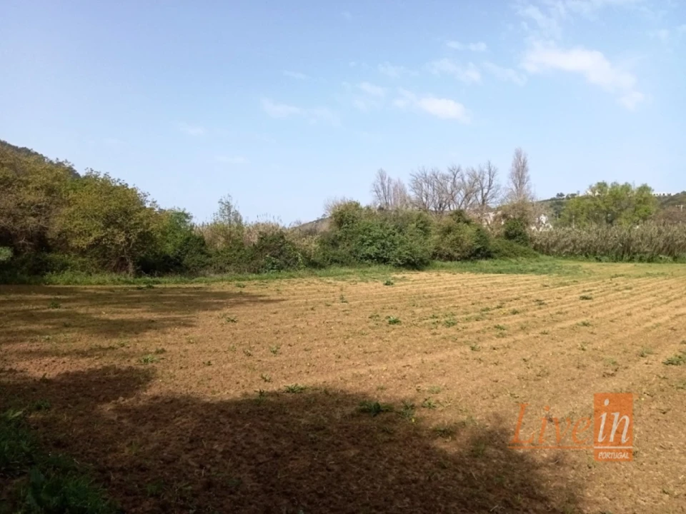 Terreno Agricola ou Rústico para Venda em Ericeira Foto 5