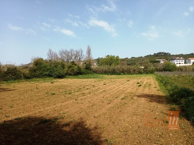 Terreno Agricola ou Rústico para Venda em Ericeira Foto 2
