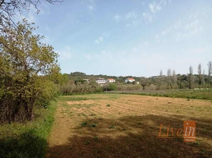 Terreno Agricola ou Rústico para Venda em Ericeira Foto 3