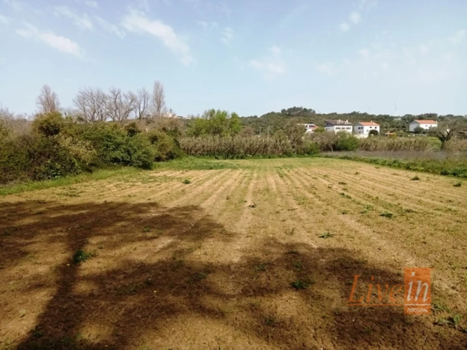 Terreno Agricola ou Rústico para Venda em Ericeira Foto 4