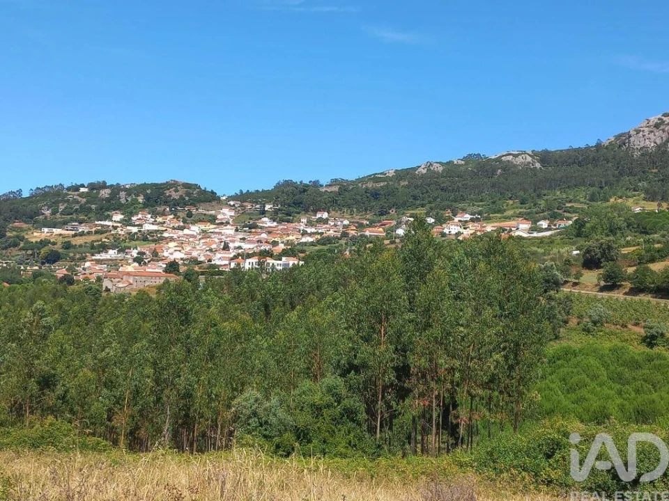 Armazém para Venda em Lamas e Cercal Foto 14