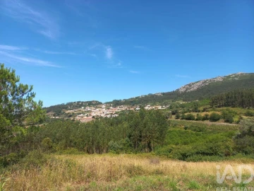 Armazém para Venda em Lamas e Cercal