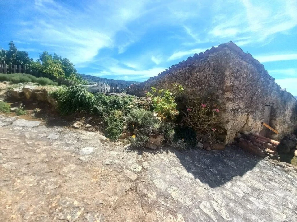 Armazém para Venda em Lamas e Cercal Foto 5