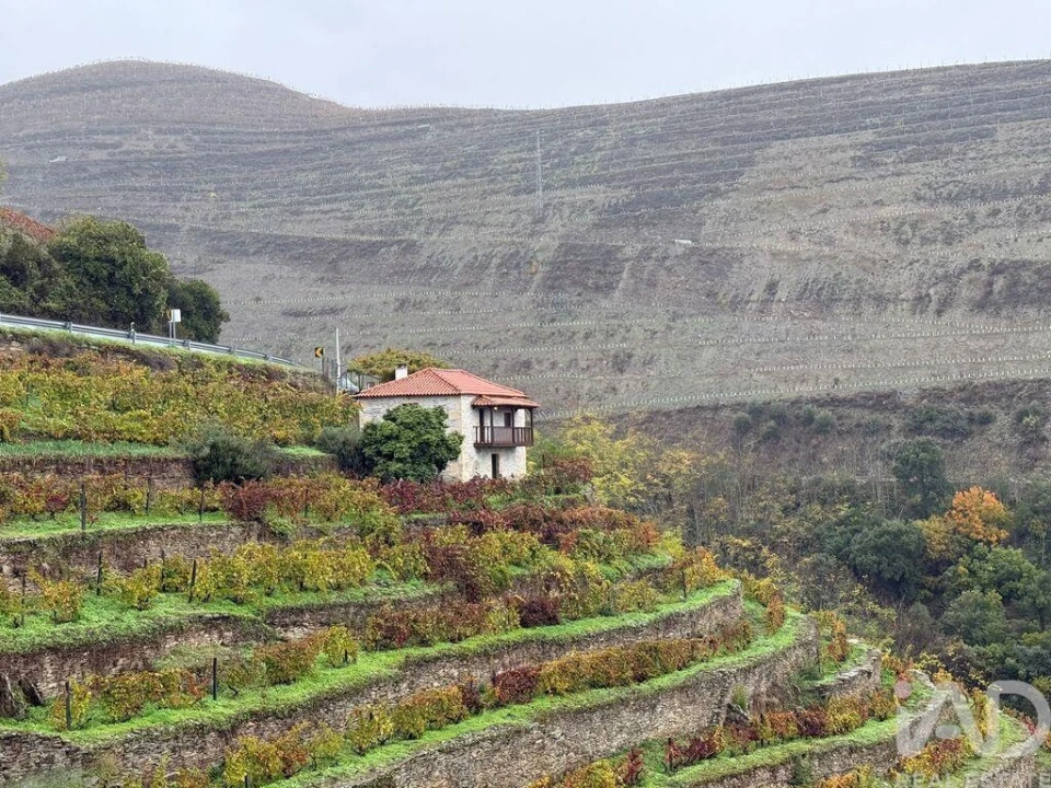 Moradia T1 para Venda em Tabuaço Foto 18