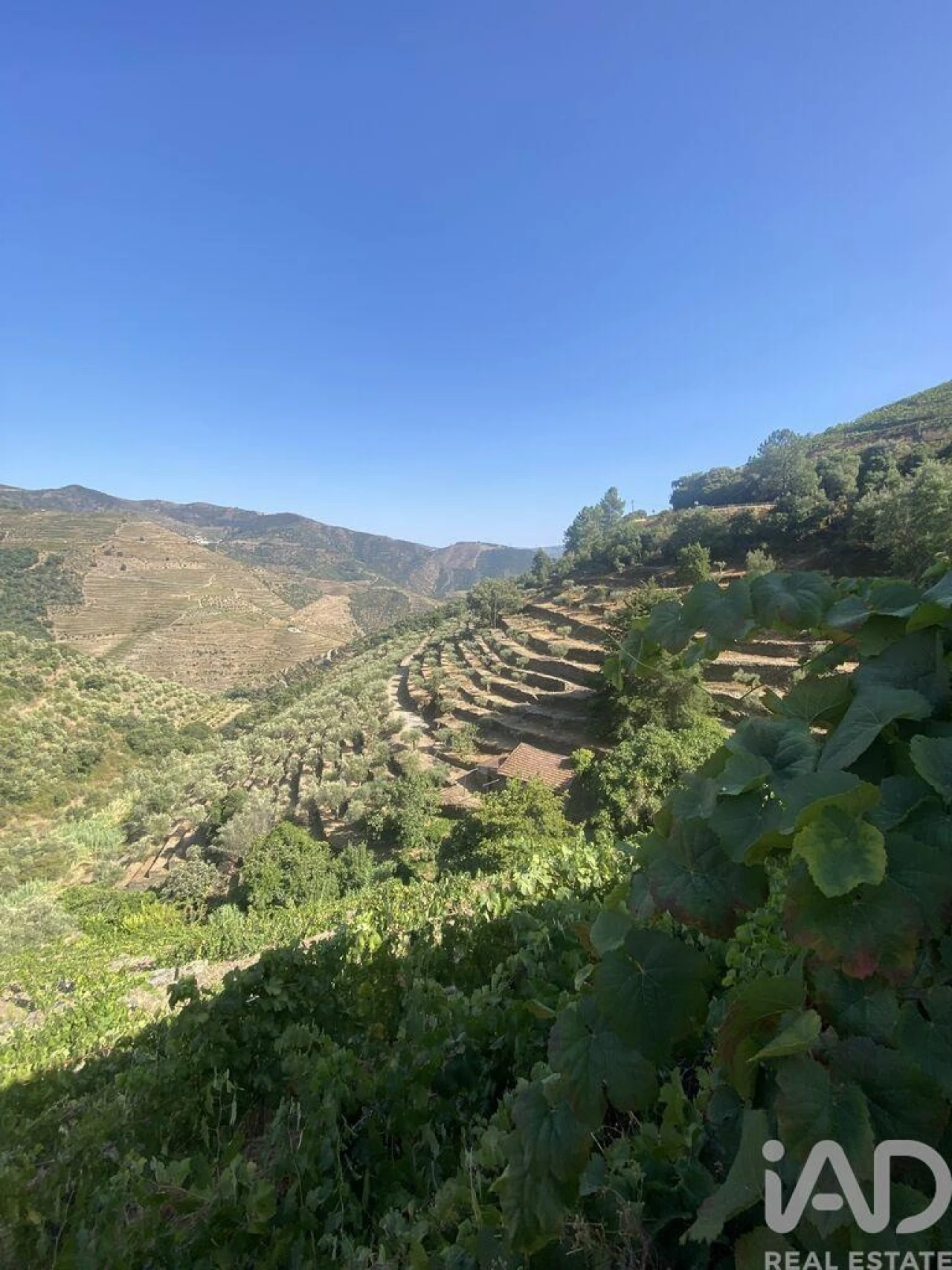 Moradia T1 para Venda em Tabuaço Foto 23