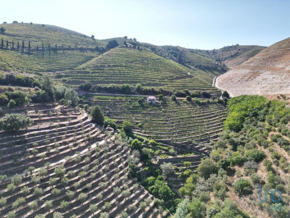 Moradia T1 para Venda em Tabuaço Foto 15