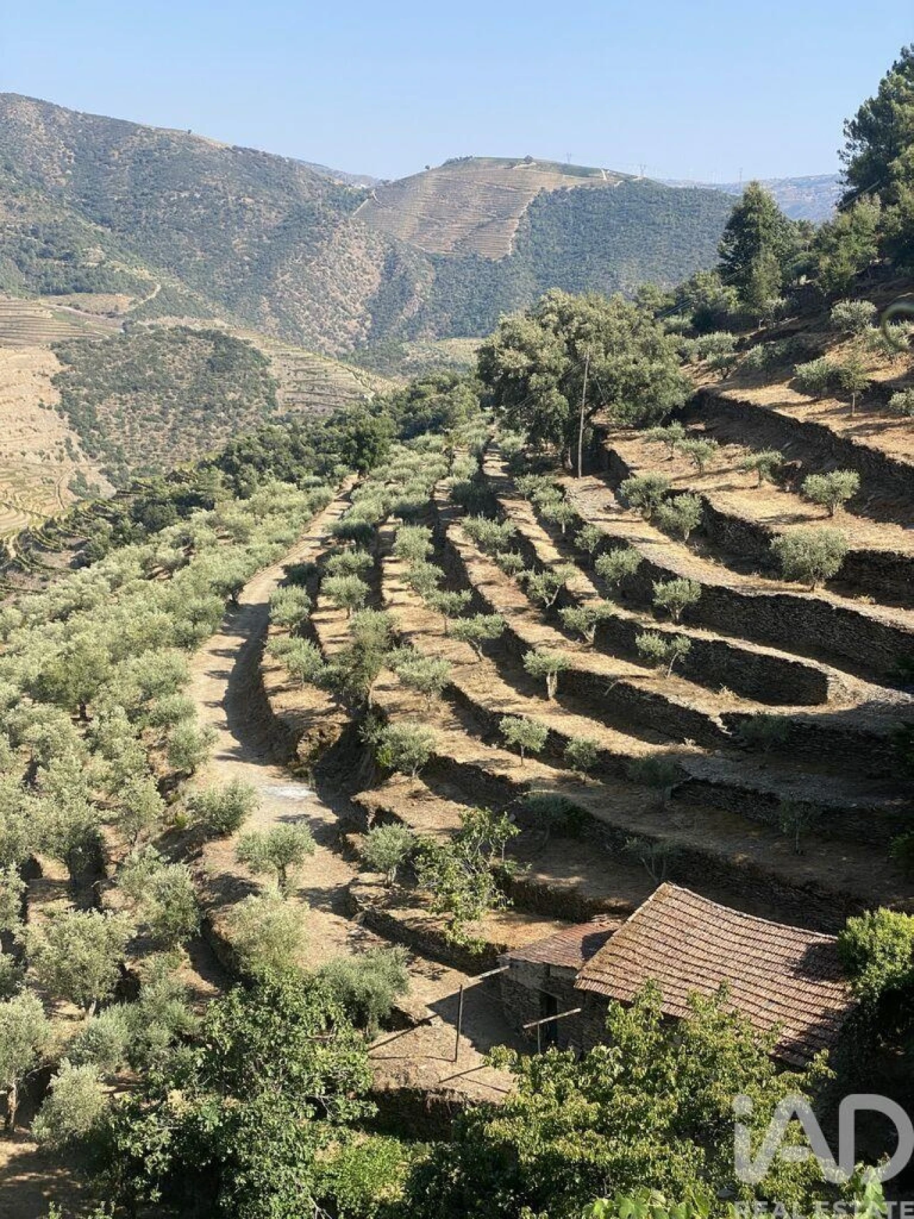 Moradia T1 para Venda em Tabuaço Foto 22