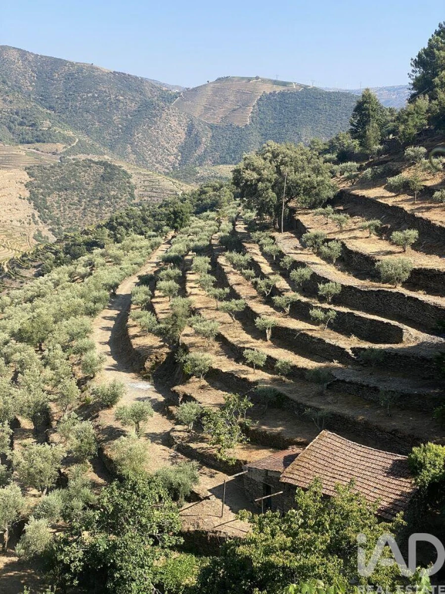 Moradia T1 para Venda em Tabuaço Foto 22