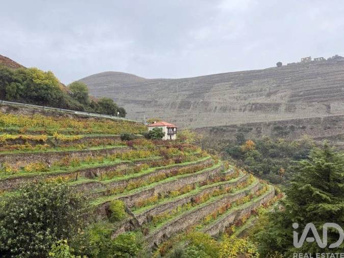 Moradia T1 para Venda em Tabuaço Foto 30