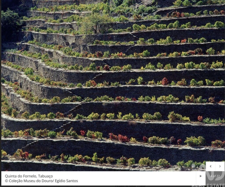 Moradia T1 para Venda em Tabuaço Foto 27