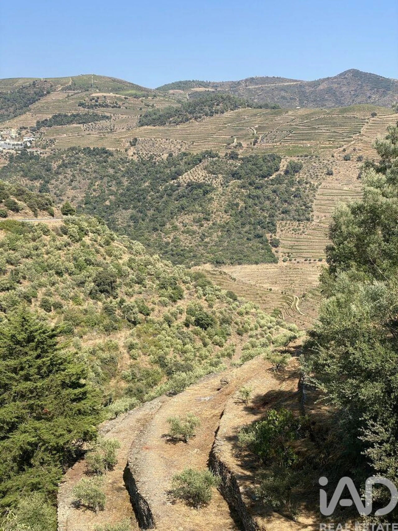 Moradia T1 para Venda em Tabuaço Foto 26