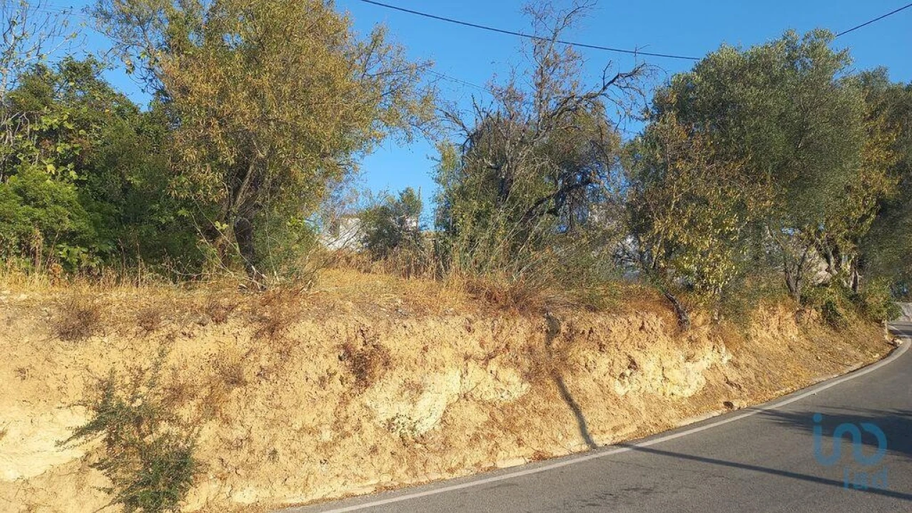 Terreno para Venda em Loule (São Clemente) Foto 10