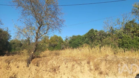 Terreno para Venda em Loule (São Clemente)