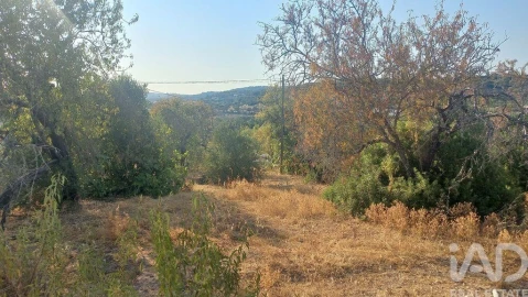 Terreno para Venda em Loule (São Clemente)