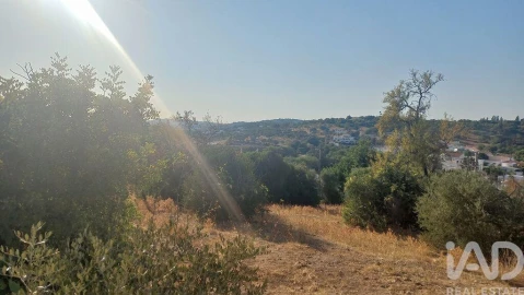 Terreno para Venda em Loule (São Clemente)