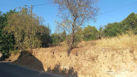 Terreno para Venda em Loule (São Clemente)