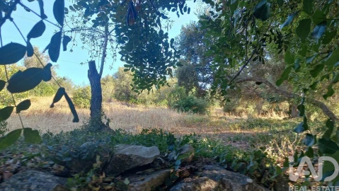 Terreno para Venda em Loule (São Clemente)