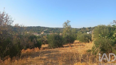 Terreno para Venda em Loule (São Clemente)