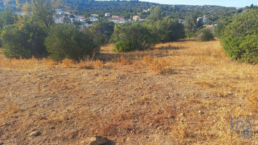 Terreno para Venda em Loule (São Clemente) Foto 5