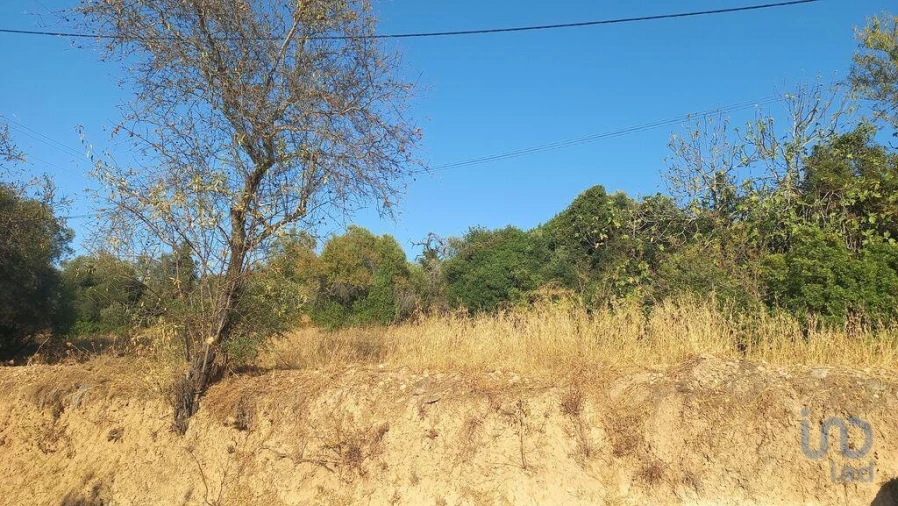 Terreno para Venda em Loule (São Clemente) Foto 11