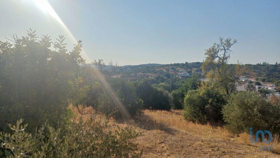 Terreno para Venda em Loule (São Clemente) Foto 6