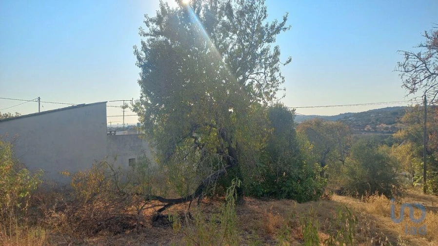 Terreno para Venda em Loule (São Clemente) Foto 8
