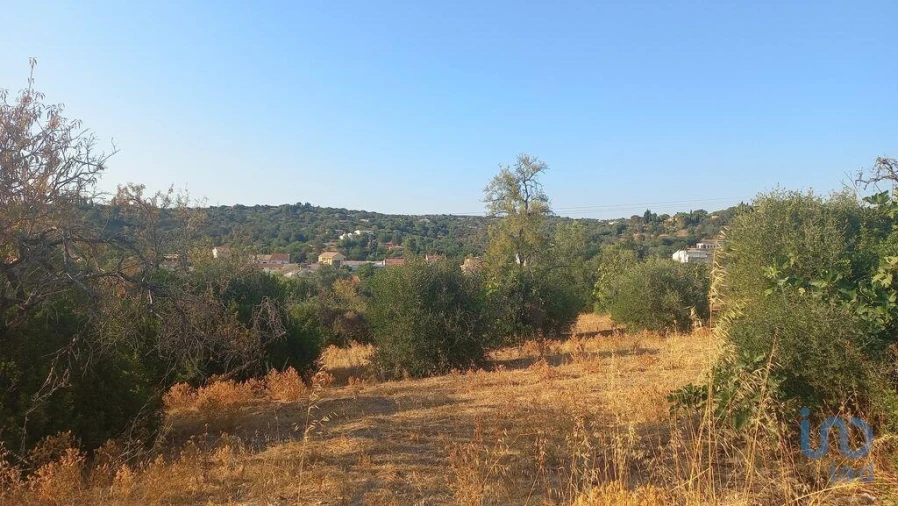 Terreno para Venda em Loule (São Clemente) Foto 9