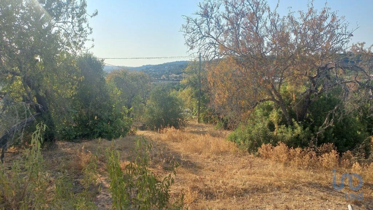 Terreno para Venda em Loule (São Clemente) Foto 7