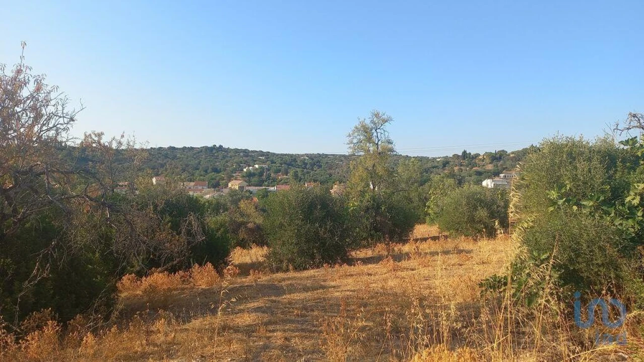 Terreno para Venda em Loule (São Clemente) Foto 9