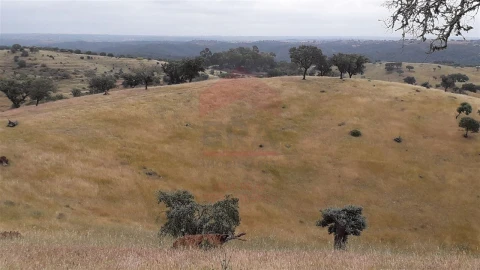 Quinta T0 para Venda em Beja (Salvador e Santa Maria da Feira)