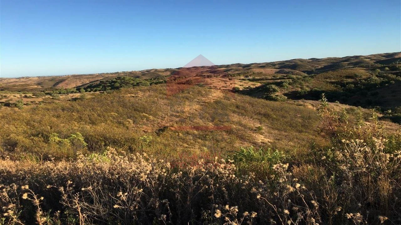 Terreno Agricola ou Rústico para Venda em Azinhal Foto 1