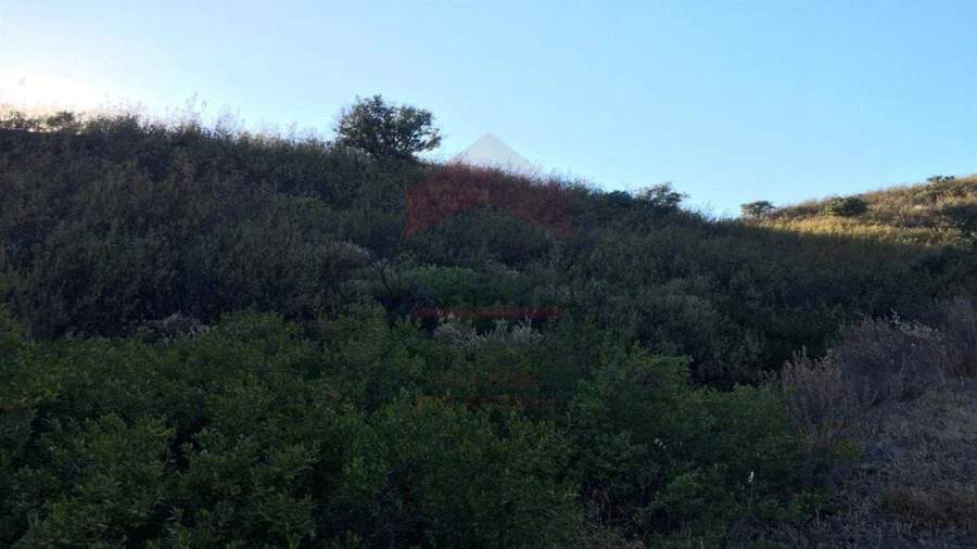 Terreno Agricola ou Rústico para Venda em Azinhal