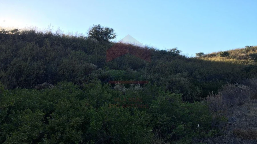 Terreno Agricola ou Rústico para Venda em Azinhal