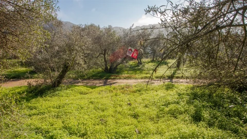 Terreno Agricola ou Rústico para Venda em Alcoutim e Pereiro