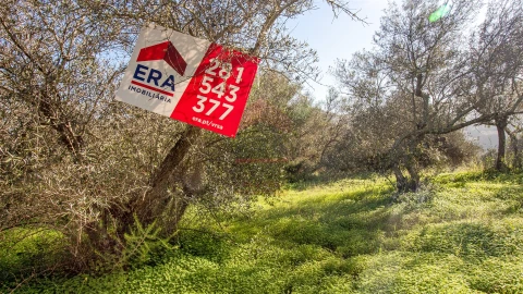 Terreno Agricola ou Rústico para Venda em Alcoutim e Pereiro