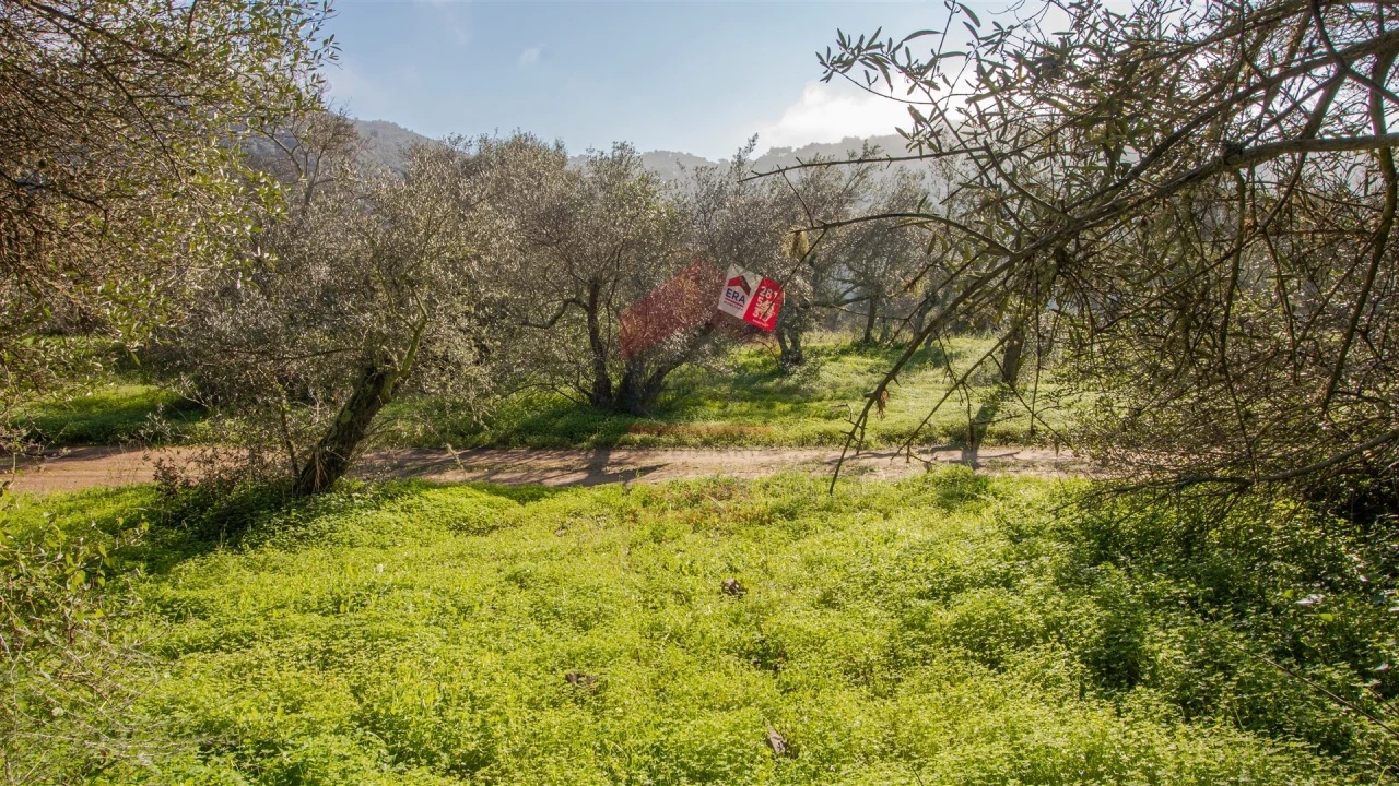 Terreno Agricola ou Rústico para Venda em Alcoutim e Pereiro Foto 2