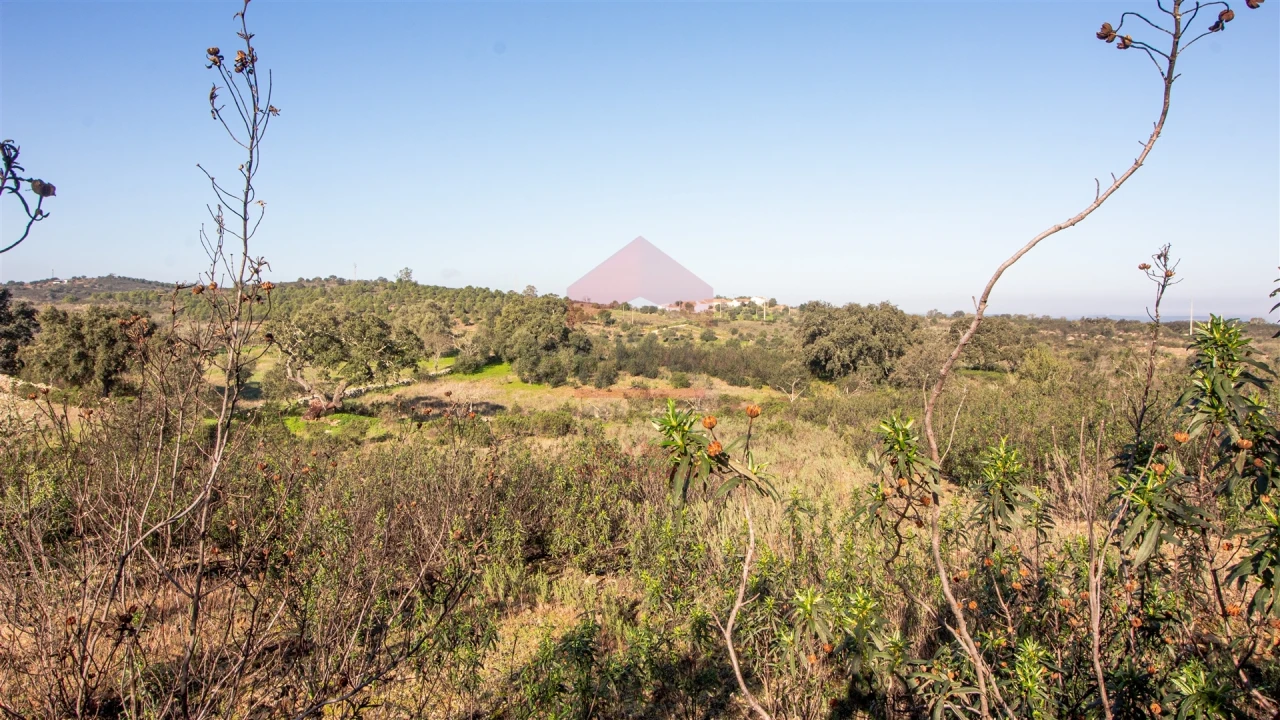 Terreno Agricola ou Rústico para Venda em Alcoutim e Pereiro Foto 3
