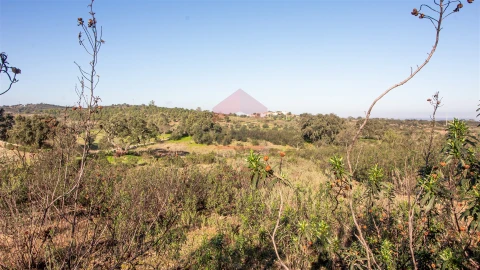 Terreno Agricola ou Rústico para Venda em Alcoutim e Pereiro