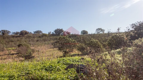 Terreno Agricola ou Rústico para Venda em Alcoutim e Pereiro