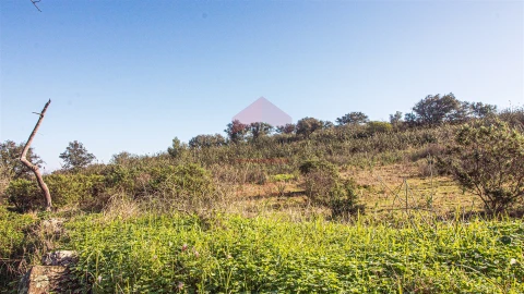 Terreno Agricola ou Rústico para Venda em Alcoutim e Pereiro
