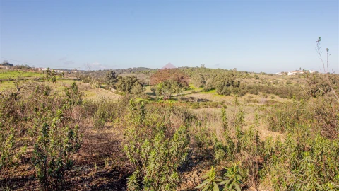 Terreno Agricola ou Rústico para Venda em Alcoutim e Pereiro