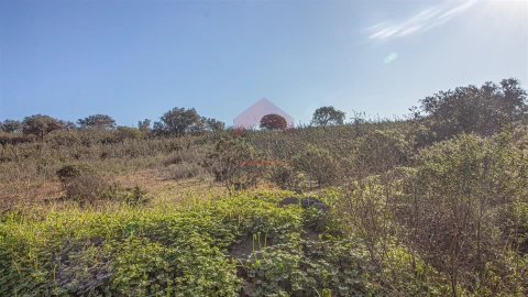 Terreno Agricola ou Rústico para Venda em Alcoutim e Pereiro