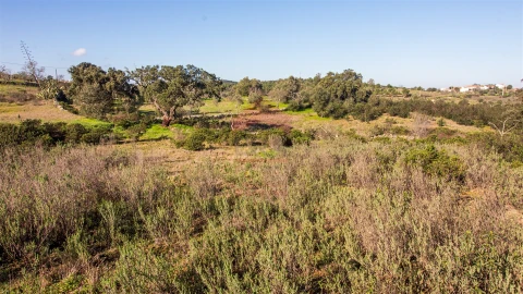 Terreno Agricola ou Rústico para Venda em Alcoutim e Pereiro
